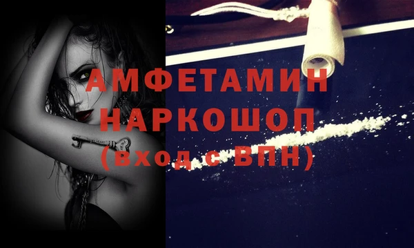 шишки Покачи
