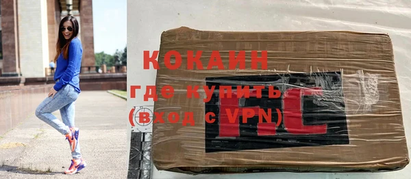 прущие грибы Билибино