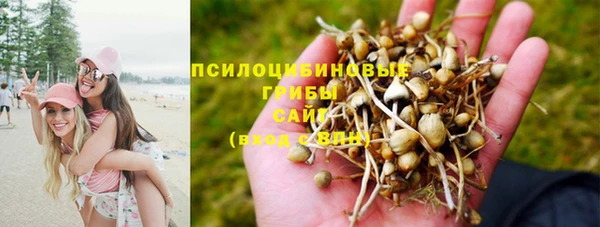 spice Балабаново