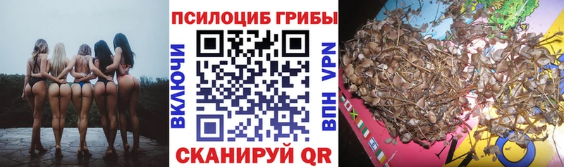 Псилоцибиновые грибы MAGIC MUSHROOMS  как найти закладки  Богородицк 